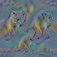 n02119789 kit fox, Vulpes macrotis